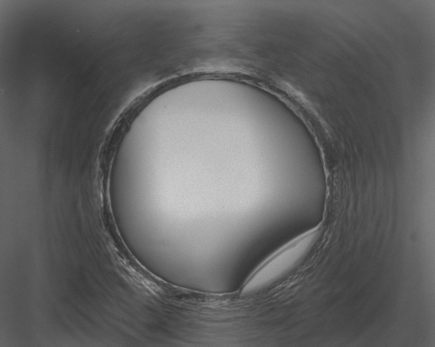 X0000082931408200702222207