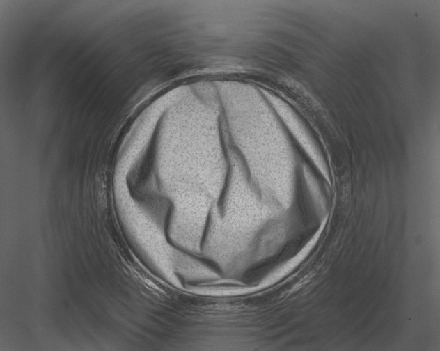 X0000082931409200702222207