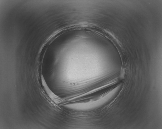 X0000082931410200702222207