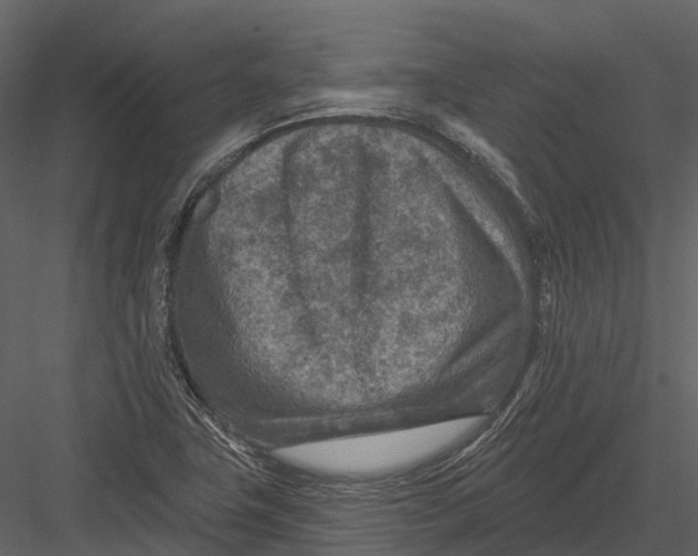 X0000082931411200702222207