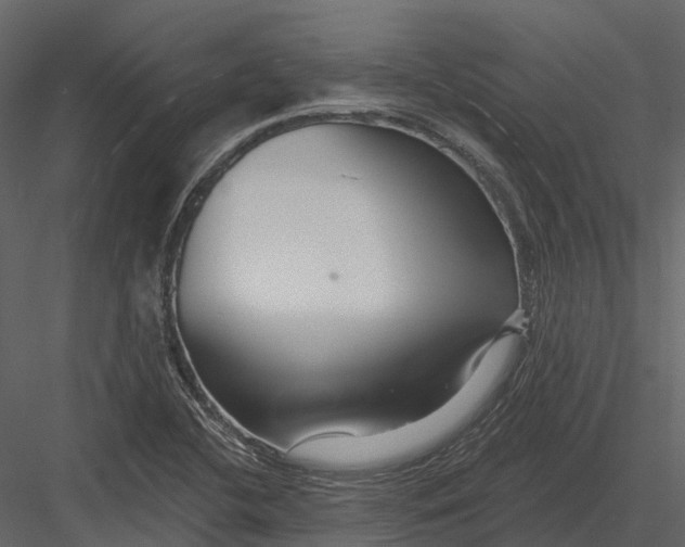 X0000082931412200702222207