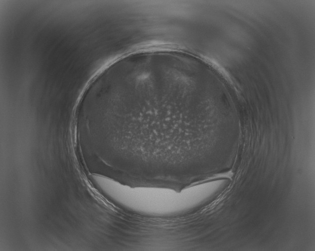 X0000082931413200702222207