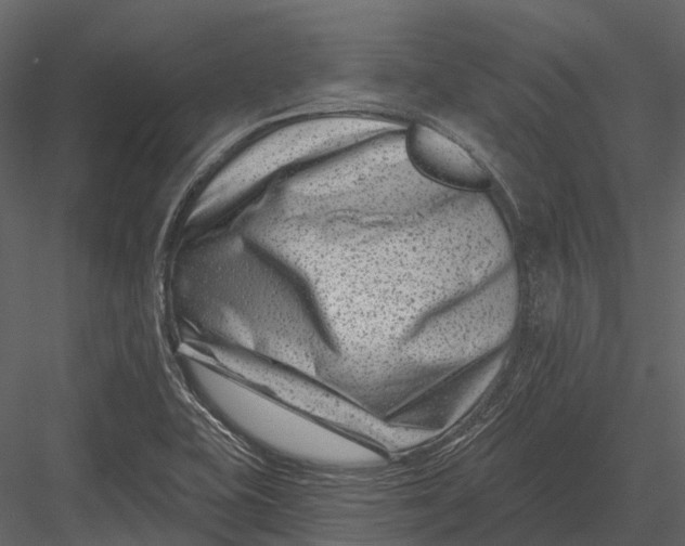 X0000082931415200702222207