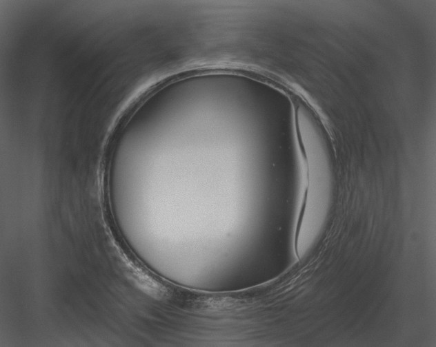 X0000082931416200702222207