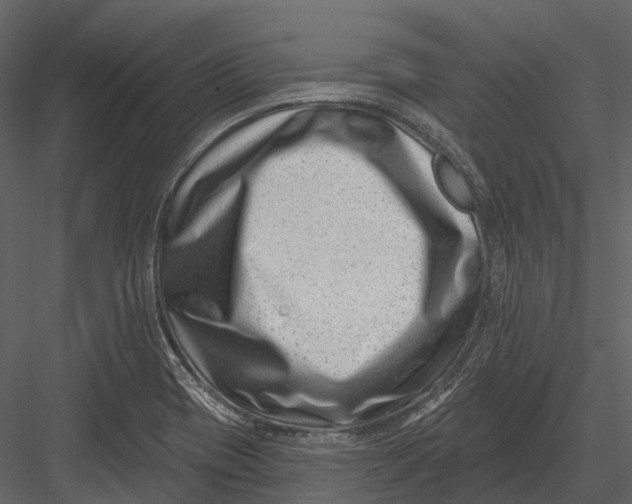 X0000082931417200702222207