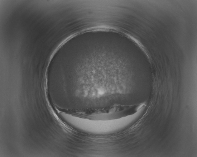 X0000082931418200702222207