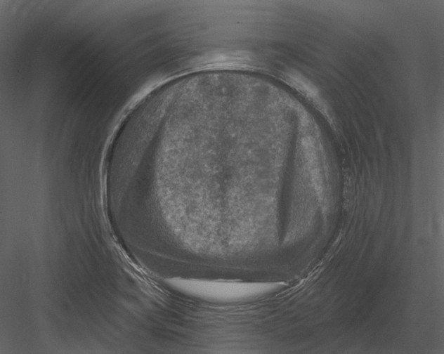 X0000082931419200702222207