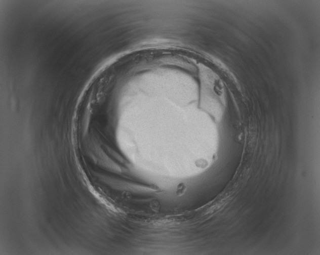 X0000082931421200702222207