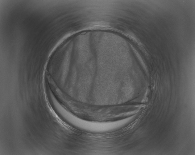 X0000082931422200702222207