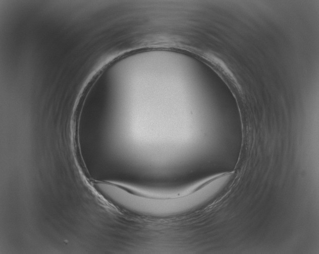 X0000082931424200702222207