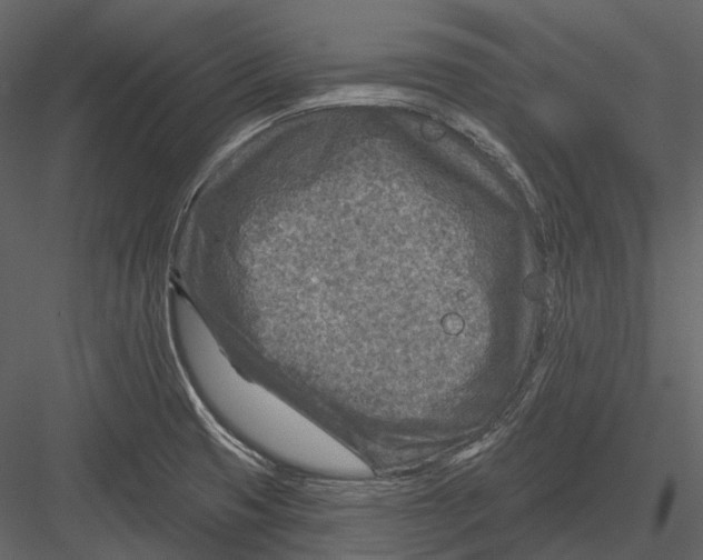 X0000082931425200702222207