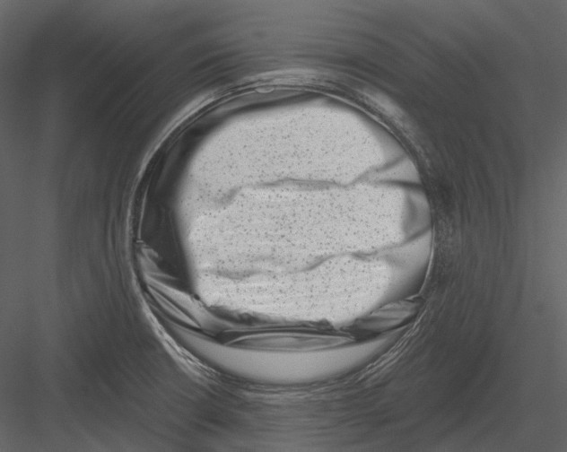 X0000082931426200702222207