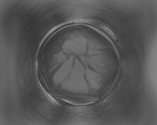 X0000082931428200702222207