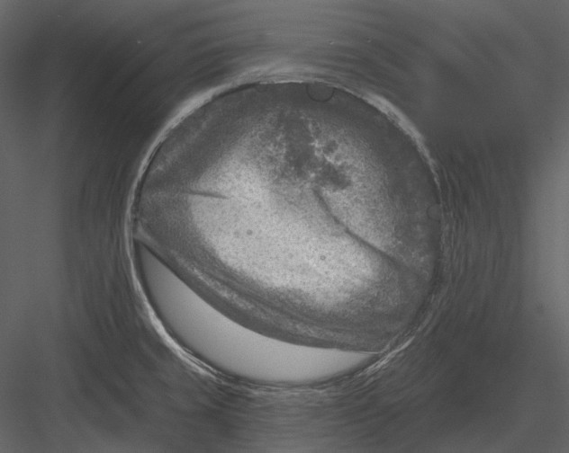 X0000082931429200702222208