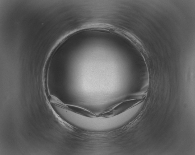 X0000082931430200702222208