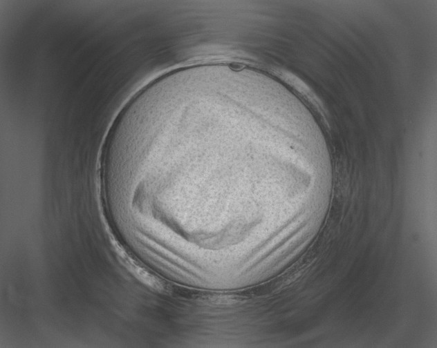 X0000082931431200702222208