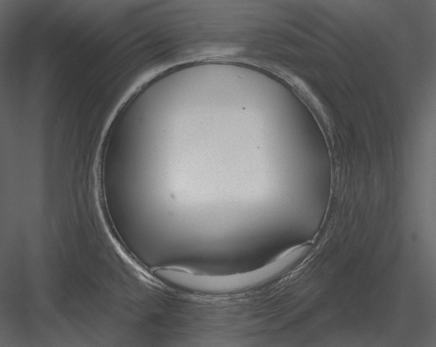 X0000082931432200702222208