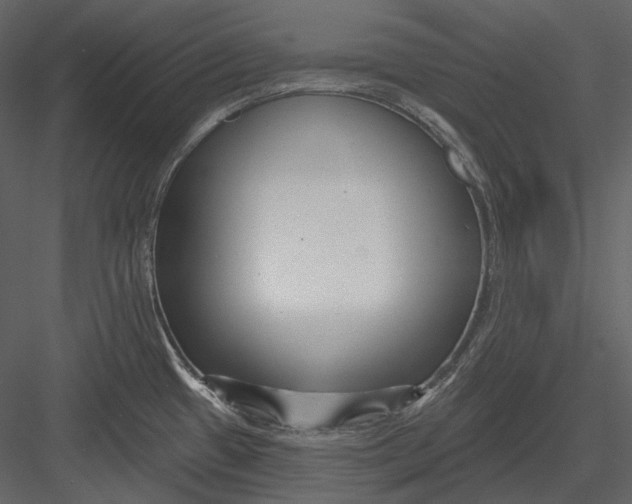 X0000082931433200702222208