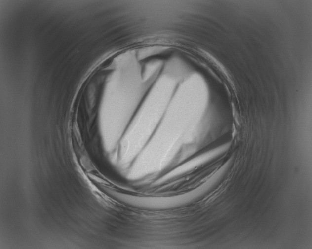 X0000082931434200702222208