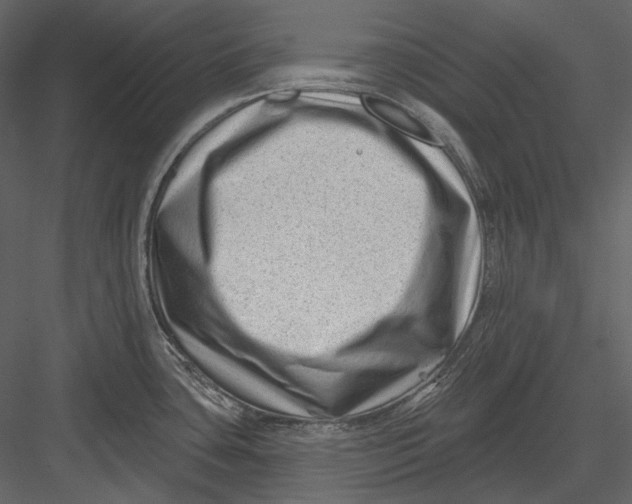 X0000082931435200702222208