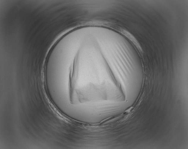 X0000082931436200702222208