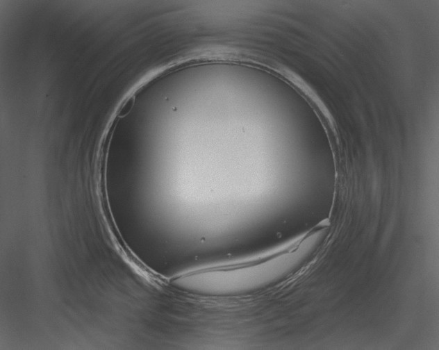 X0000082931437200702222208