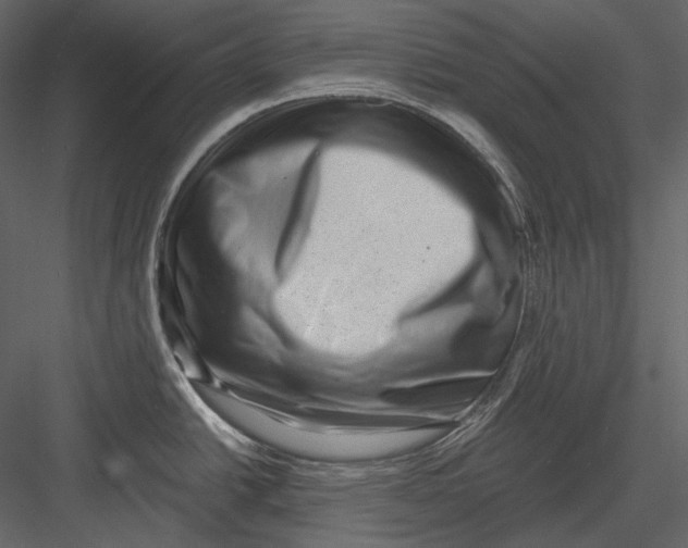 X0000082931438200702222208