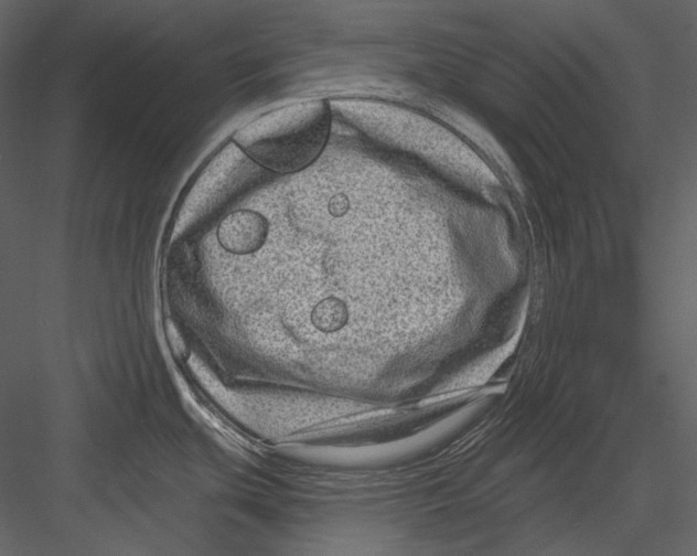 X0000082931439200702222208