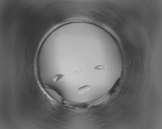 X0000082931440200702222208