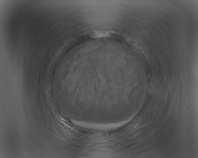 X0000082931441200702222207