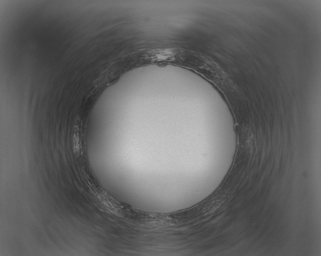 X0000082931442200702222207