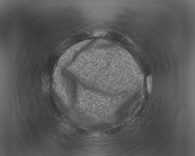 X0000082931443200702222207