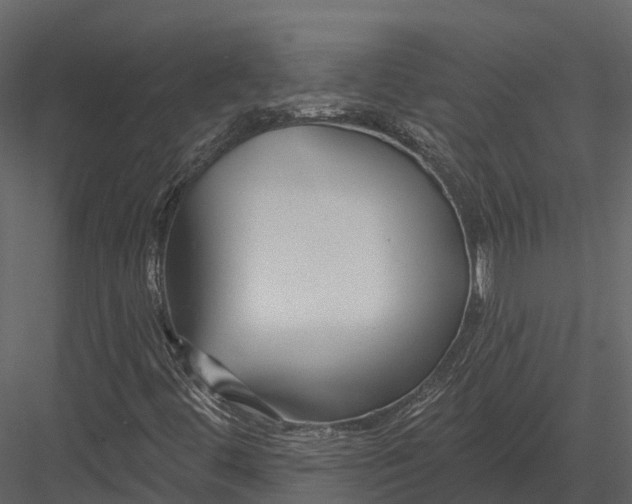 X0000082931444200702222207