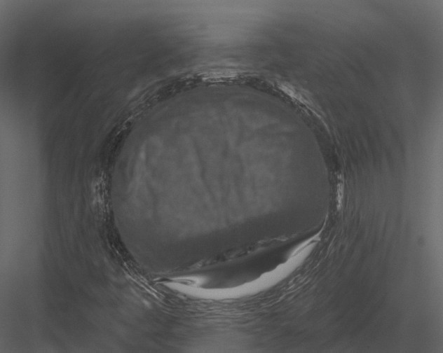 X0000082931445200702222207