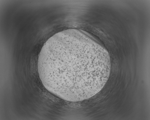 X0000082931446200702222207