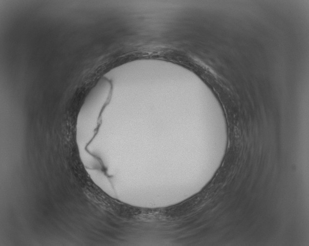 X0000082931447200702222207