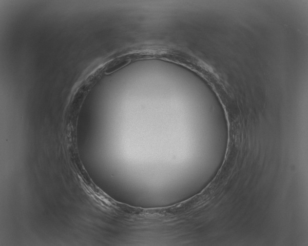 X0000082931448200702222207