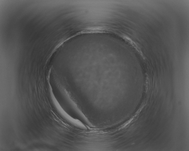 X0000082931449200702222207