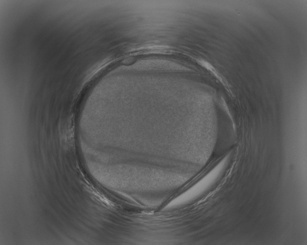 X0000082931450200702222207