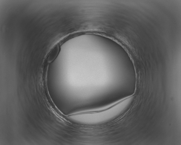 X0000082931452200702222207