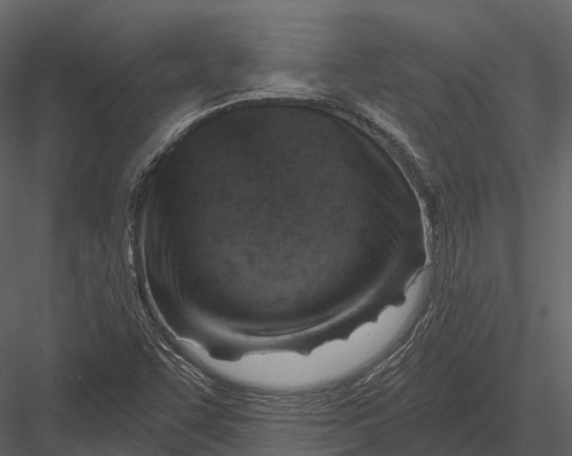 X0000082931455200702222207