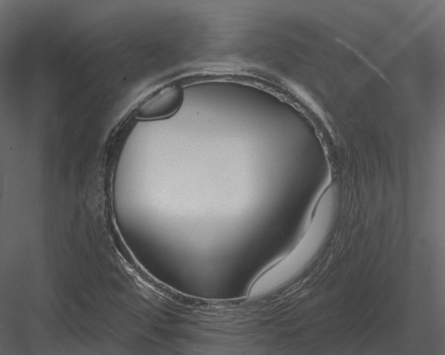 X0000082931456200702222207