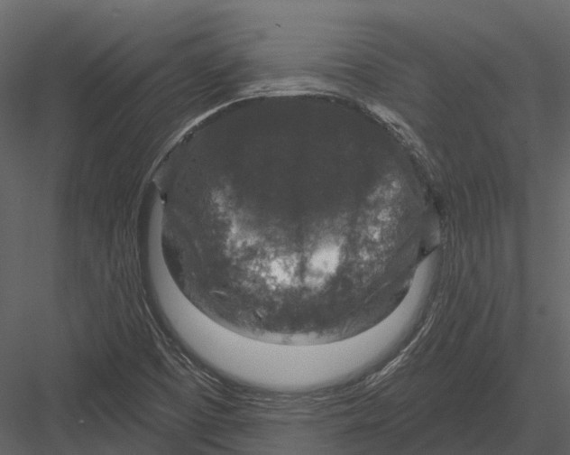 X0000082931457200702222207