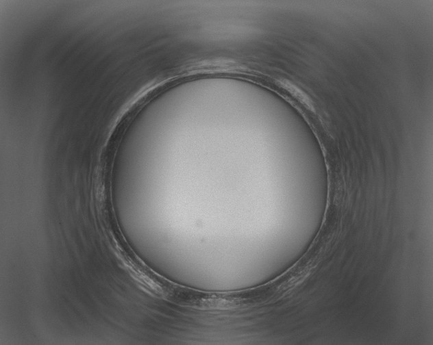 X0000082931458200702222207