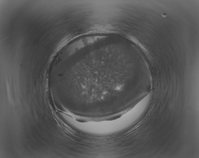 X0000082931459200702222207