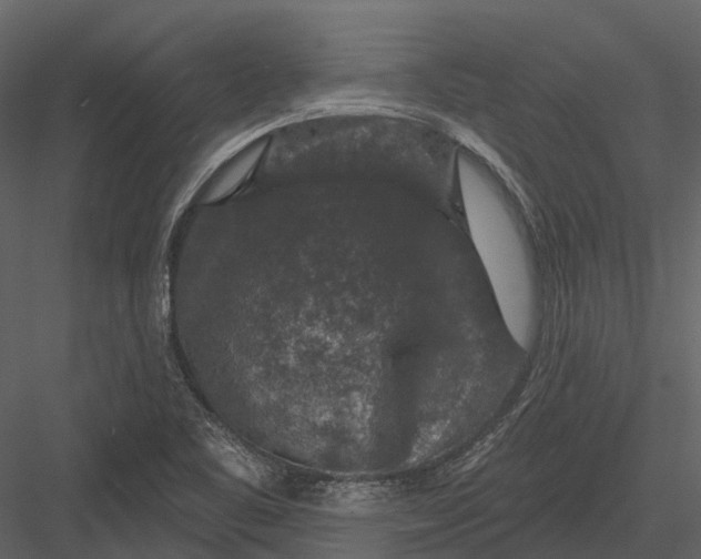 X0000082931461200702222207