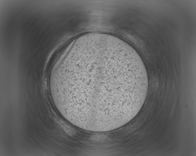 X0000082931462200702222207