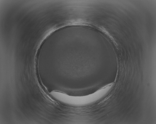 X0000082931463200702222207