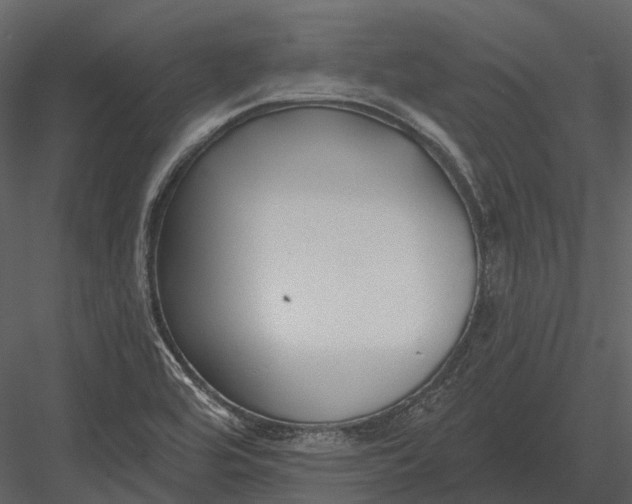 X0000082931464200702222206