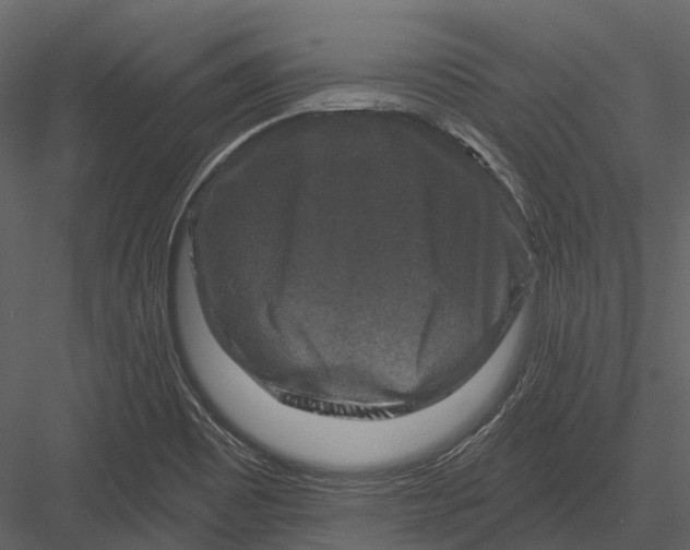 X0000082931465200702222206